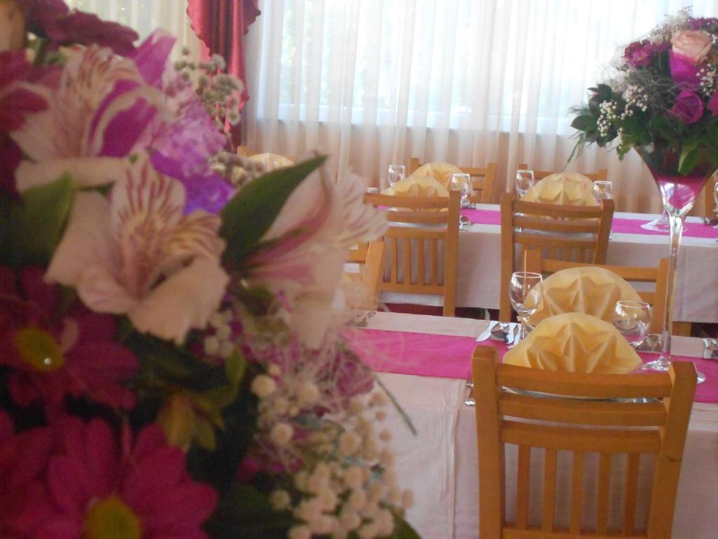 Pansion Komfor Moca ماكارسكا المظهر الخارجي الصورة